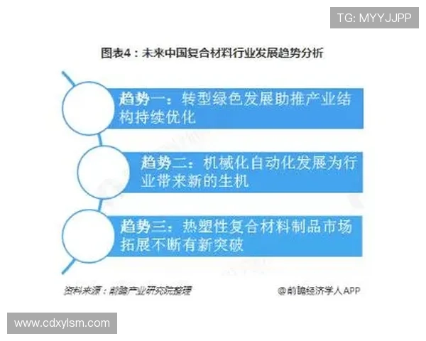 南京篮球队运营新模式探讨与发展前景分析