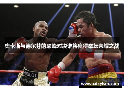 奥卡斯与德尔芬的巅峰对决谁将赢得拳坛荣耀之战